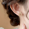 Angel Wing Zircon Earrings  (Silver)